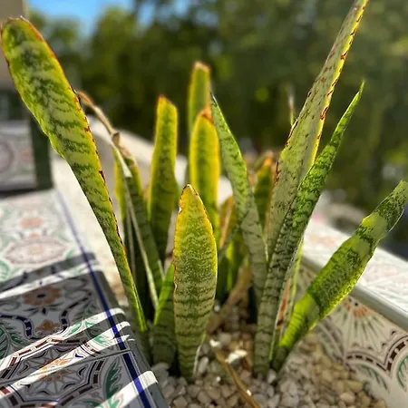 Center - Eaw Homes Apartamento